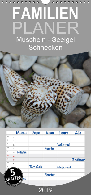 Häuser der Meere: Muscheln – Seeigel – Schnecken – Familienplaner hoch (Wandkalender 2019 , 21 cm x 45 cm, hoch) von Grobelny,  Renate