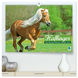 Haflinger: Die blonden Pferde von der Alm (hochwertiger Premium Wandkalender 2024 DIN A2 quer), Kunstdruck in Hochglanz von CALVENDO,  CALVENDO