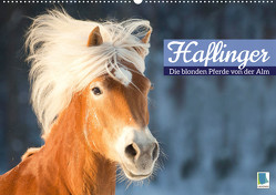 Haflinger: Die blonden Pferde von der Alm (Wandkalender 2023 DIN A2 quer) von CALVENDO