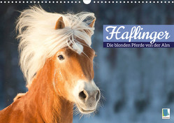Haflinger: Die blonden Pferde von der Alm (Wandkalender 2023 DIN A3 quer) von CALVENDO
