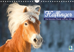 Haflinger: Die blonden Pferde von der Alm (Wandkalender 2023 DIN A4 quer) von CALVENDO