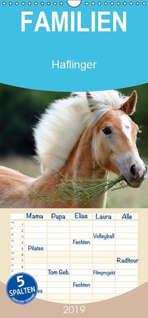 Haflinger – Familienplaner hoch (Wandkalender 2019 , 21 cm x 45 cm, hoch) von Noack,  Nicole