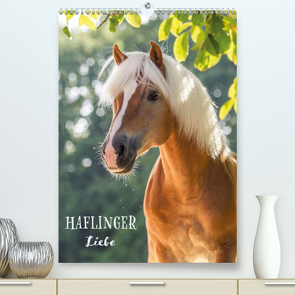 Haflinger Liebe (Premium, hochwertiger DIN A2 Wandkalender 2021, Kunstdruck in Hochglanz) von Pixel Nomad,  The, Zahorka,  Cécile