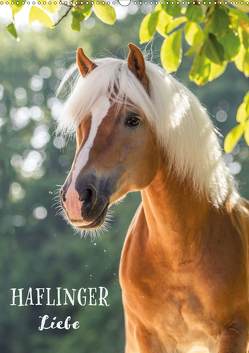 Haflinger Liebe (Wandkalender 2021 DIN A2 hoch) von Pixel Nomad,  The, Zahorka,  Cécile