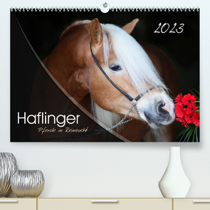 Haflinger-Pferde in Reinzucht (Premium, hochwertiger DIN A2 Wandkalender 2023, Kunstdruck in Hochglanz) von Natural-Golden.de