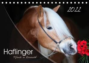 Haflinger-Pferde in Reinzucht (Tischkalender 2022 DIN A5 quer) von Natural-Golden.de