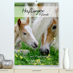 Haflinger Pferde – Stall- und Familienplaner 2023 (Premium, hochwertiger DIN A2 Wandkalender 2023, Kunstdruck in Hochglanz) von Natural-Golden.de