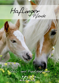 Haflinger Pferde – Stall- und Familienplaner 2023 (Wandkalender 2023 DIN A2 hoch) von Natural-Golden.de