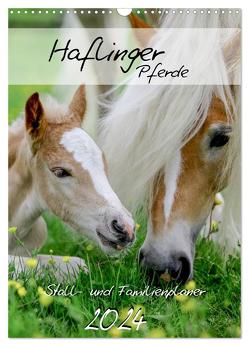 Haflinger Pferde – Stall- und Familienplaner 2024 (Wandkalender 2024 DIN A3 hoch), CALVENDO Monatskalender von Natural-Golden.de,  Natural-Golden.de