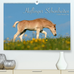 Haflinger Schönheiten (Premium, hochwertiger DIN A2 Wandkalender 2023, Kunstdruck in Hochglanz) von Dünisch - www.Ramona-Duenisch.de,  Ramona