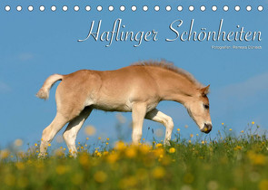 Haflinger Schönheiten (Tischkalender 2022 DIN A5 quer) von Dünisch - www.Ramona-Duenisch.de,  Ramona