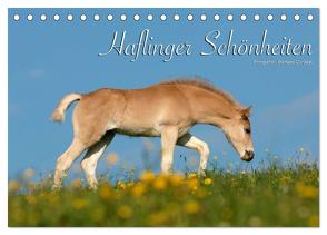 Haflinger Schönheiten (Tischkalender 2024 DIN A5 quer), CALVENDO Monatskalender von Dünisch - www.Ramona-Duenisch.de,  Ramona