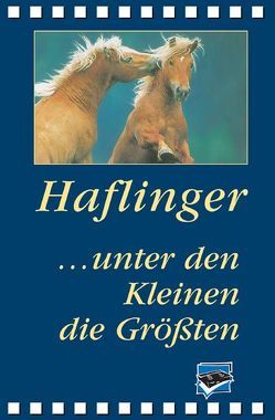 Haflinger… unter den Kleinen die Größten von Model,  Ulrich, Vogel,  Thomas