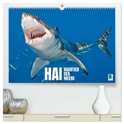 Hai: Raubtier der Meere (hochwertiger Premium Wandkalender 2024 DIN A2 quer), Kunstdruck in Hochglanz von CALVENDO,  CALVENDO