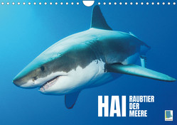 Hai: Raubtier der Meere (Wandkalender 2023 DIN A4 quer) von CALVENDO