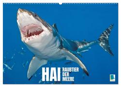 Hai: Raubtier der Meere (Wandkalender 2024 DIN A2 quer), CALVENDO Monatskalender von CALVENDO,  CALVENDO