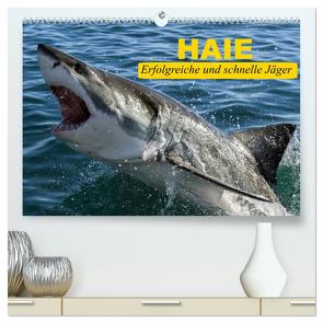 Haie. Erfolgreiche und schnelle Jäger (hochwertiger Premium Wandkalender 2024 DIN A2 quer), Kunstdruck in Hochglanz von Stanzer,  Elisabeth