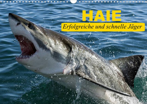 Haie. Erfolgreiche und schnelle Jäger (Wandkalender 2023 DIN A3 quer) von Stanzer,  Elisabeth