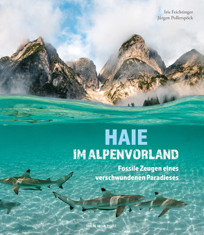Haie im Alpenvorland von Feichtinger,  Iris, Pollerspöck,  Jürgen
