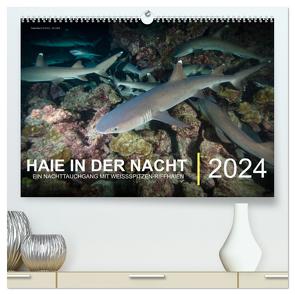 Haie in der Nacht (hochwertiger Premium Wandkalender 2024 DIN A2 quer), Kunstdruck in Hochglanz von Hubo - feel4nature,  Christian
