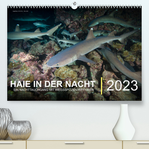 Haie in der Nacht (Premium, hochwertiger DIN A2 Wandkalender 2023, Kunstdruck in Hochglanz) von Hubo - feel4nature,  Christian