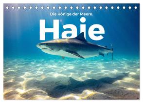 Haie – Könige der Meere. (Tischkalender 2024 DIN A5 quer), CALVENDO Monatskalender von Scott,  M.