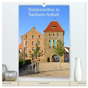 Haldensleben in Sachsen-Anhalt (hochwertiger Premium Wandkalender 2024 DIN A2 hoch), Kunstdruck in Hochglanz von Bussenius,  Beate