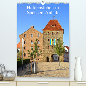 Haldensleben in Sachsen-Anhalt (Premium, hochwertiger DIN A2 Wandkalender 2023, Kunstdruck in Hochglanz) von Bussenius,  Beate
