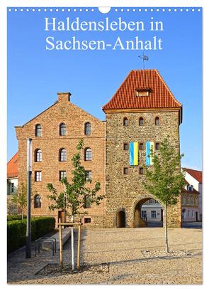 Haldensleben in Sachsen-Anhalt (Wandkalender 2024 DIN A3 hoch), CALVENDO Monatskalender von Bussenius,  Beate