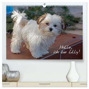 Hallo, ich bin Lilly (hochwertiger Premium Wandkalender 2024 DIN A2 quer), Kunstdruck in Hochglanz von Kuttig,  Siegfried