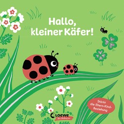 Hallo, kleiner Käfer! von Hayashi,  Emiri, Taube,  Anna