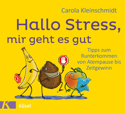 Hallo Stress, mir geht es gut von Kleinschmidt,  Carola, Pannen,  Kai