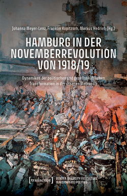 Hamburg in der Novemberrevolution von 1918/19 von Hedrich,  Markus, Kopitzsch,  Franklin, Meyer-Lenz,  Johanna