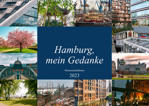 Hamburg, mein Gedanke (Wandkalender 2023 DIN A2 quer) von Steiner / Matthias Konrad,  Carmen