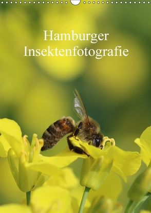 Hamburger Insektenfotografie (Wandkalender 2018 DIN A3 hoch) von Brix,  Matthias