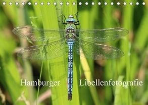 Hamburger Libellenfotografie (Tischkalender 2018 DIN A5 quer) von Brix,  Matthias