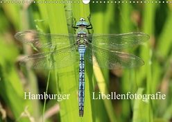 Hamburger Libellenfotografie (Wandkalender 2018 DIN A3 quer) von Brix,  Matthias