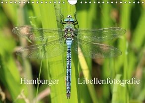 Hamburger Libellenfotografie (Wandkalender 2018 DIN A4 quer) von Brix,  Matthias