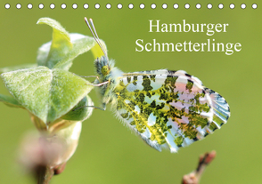 Hamburger Schmetterlinge (Tischkalender 2021 DIN A5 quer) von Brix,  Matthias