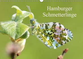 Hamburger Schmetterlinge (Wandkalender 2019 DIN A3 quer) von Brix,  Matthias