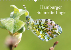 Hamburger Schmetterlinge (Wandkalender 2021 DIN A3 quer) von Brix,  Matthias