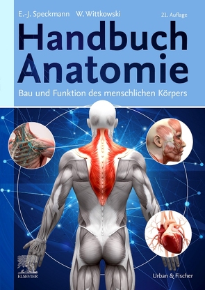 Handbuch Anatomie von Speckmann,  Erwin-Josef, Wittkowski,  Werner