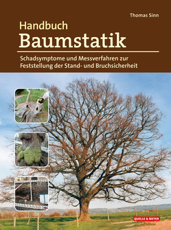 Handbuch Baumstatik von Sinn,  Thomas
