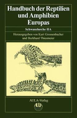 Handbuch der Reptilien und Amphibien Europas von Böhme,  Wolfgang, Grossenbacher,  Kurt, Thiesmeier,  Burkhard