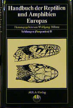 Handbuch der Reptilien und Amphibien Europas von Böhme,  Wolfgang, Grillitsch,  Britta, Grillitsch,  Heinz, Gruschwitz,  Michael
