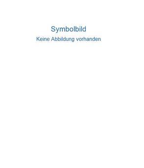 Handbuch der Stahlbaumontage von Petzschmann,  E, Skufca,  K H