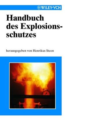 Handbuch des Explosionsschutzes von Steen,  Henrikus