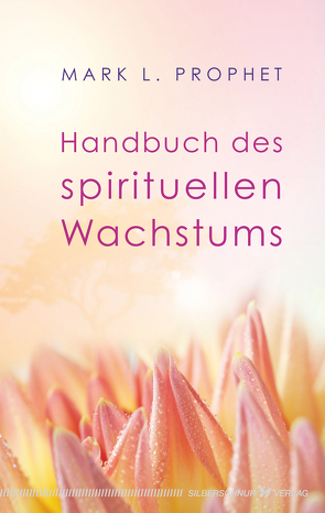 Handbuch des spirituellen Wachstums von Prophet,  Mark L.