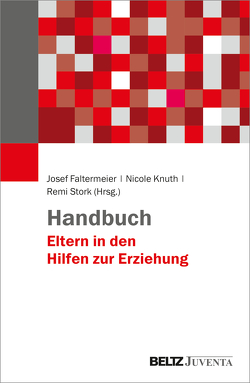 Handbuch Eltern in den Hilfen zur Erziehung von Faltermeier,  Josef, Knuth,  Nicole, Stork,  Remi