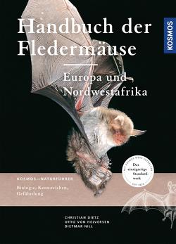 Handbuch Fledermäuse Europas von Dietz,  Christian, Helversen ,  Otto von, Nill,  Dietmar